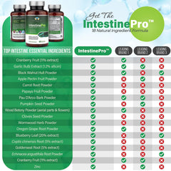 Teraputics IntestinePro ingredients close-up highlighting non GMO blend