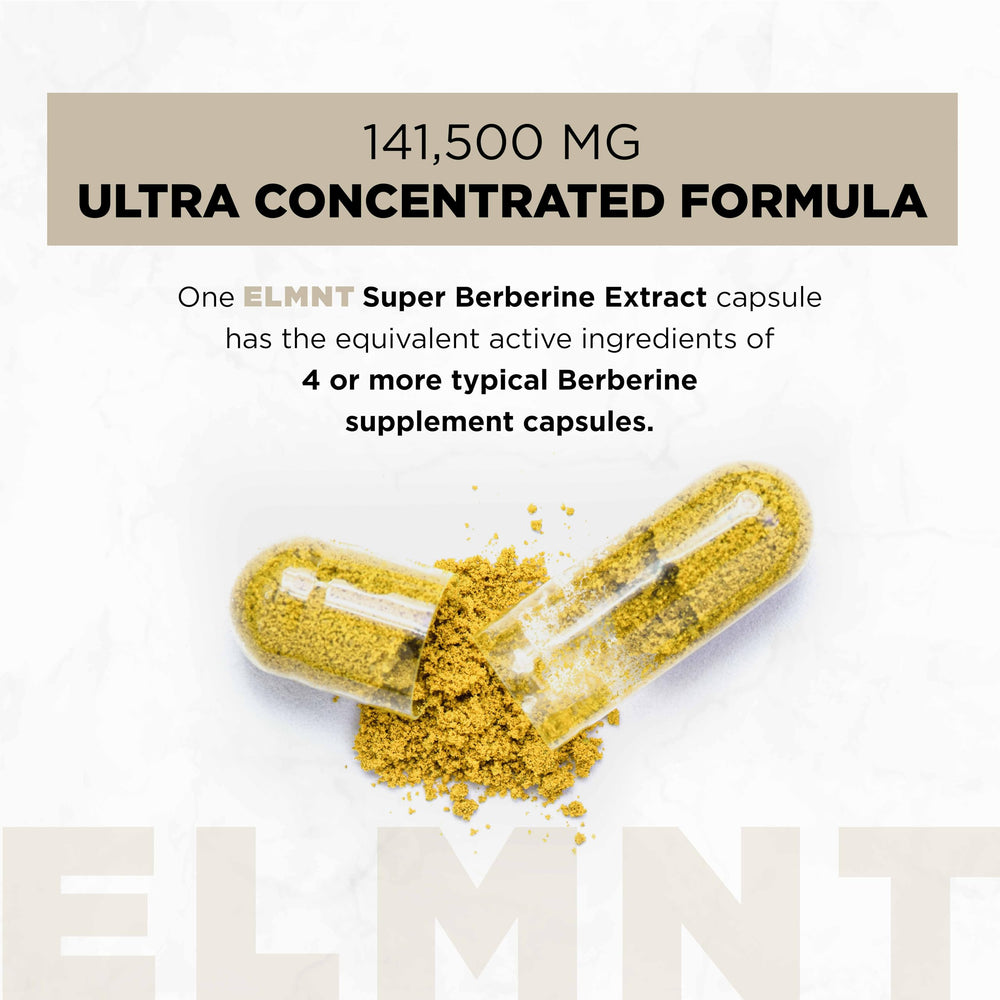 Terra Elmnt dihydroberberine capsules; higher absorption potential.