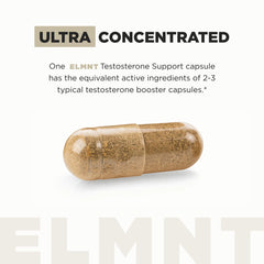 Terra Elmnt ashwagandha 4:1 extract bottle label closeup, may support stress resilience and focus.