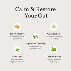 Terra Health Essentials Acid Relief lemon balm promotes calmer digestion.