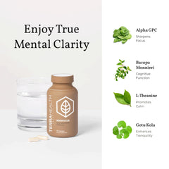 Terra Health Essentials NOOFOCUS packaging display with 60 capsules