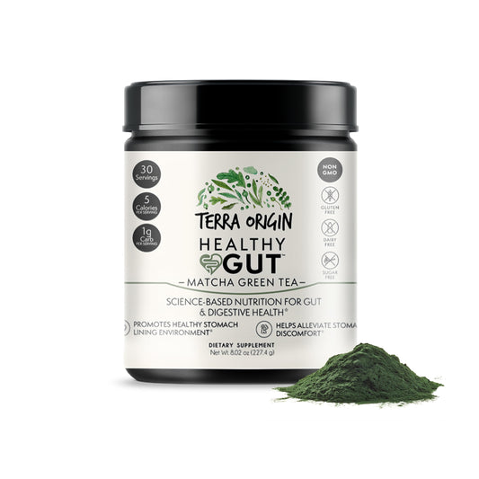 Terra Origin Healthy Gut Powder tub close-up highlighting digestive-supporting blend for everyday comfort.