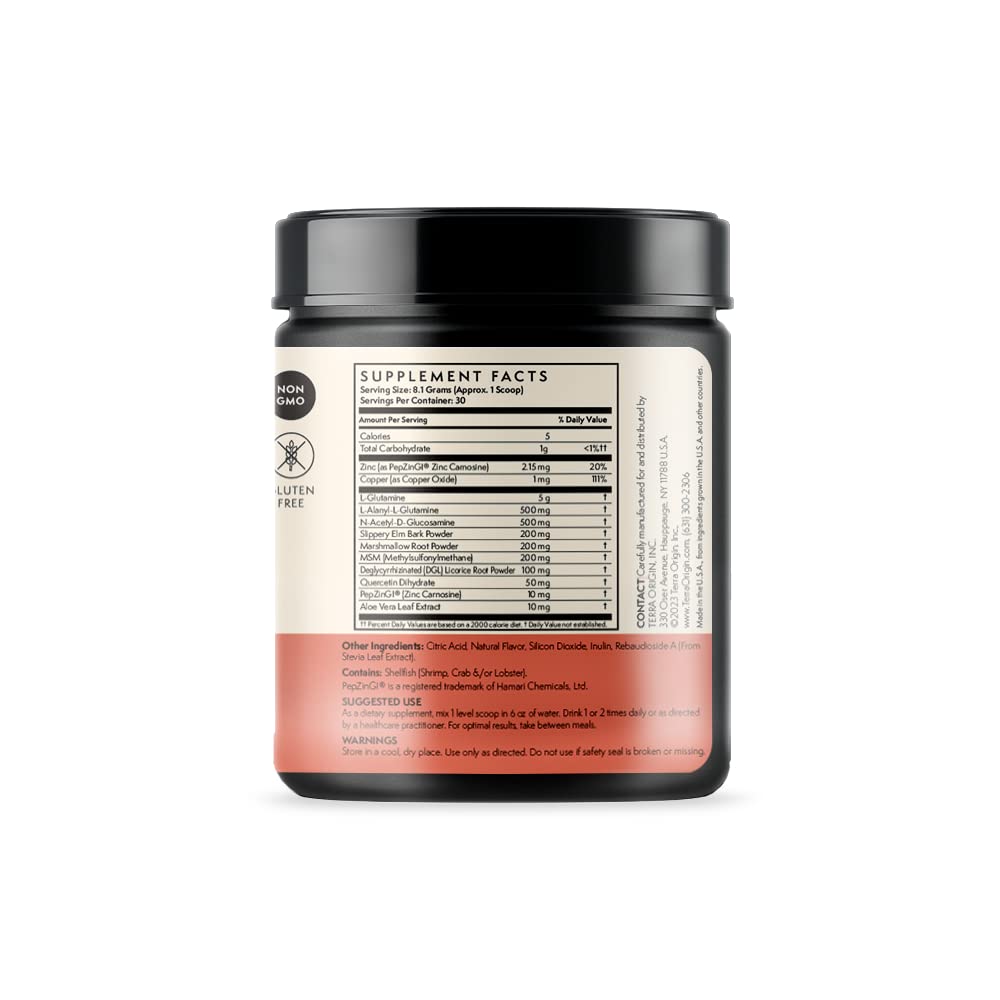 Terra Origin Healthy Gut Watermelon glass with dissolved powder for easy mixing.