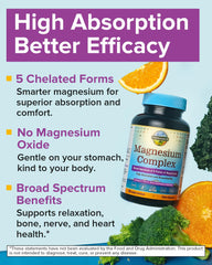 Terranics magnesium 5-in-1 formula graphic highlighting the five forms