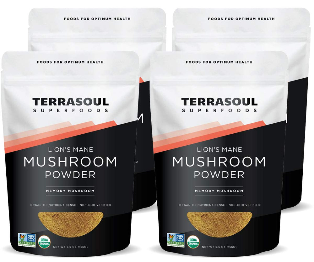 Terrasoul Lion's Mane powder in a 4:1 extract bag, signaling purity and potency.