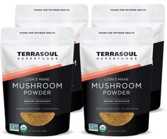 Terrasoul Lion's Mane powder in a 4:1 extract bag, signaling purity and potency.