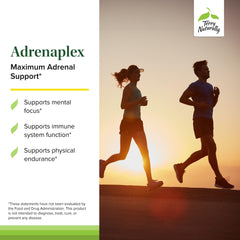 Label detail reveals DHEA and B vitamins for balanced energy support