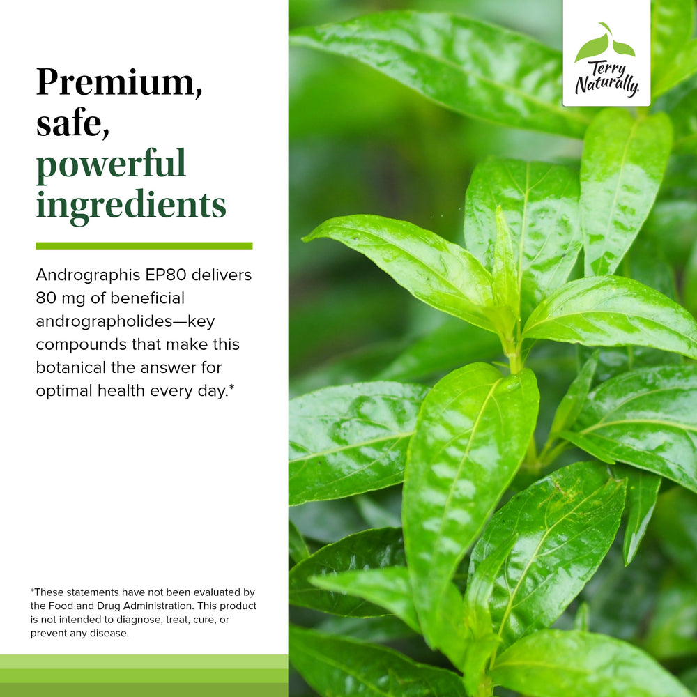 Terry Naturally Andrographis EP80 closeup capsules for easy intake.