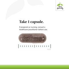 Terry Naturally Aronia Berry Complex ingredients panel featuring grape seed extract and polyphenols