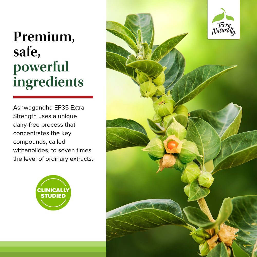 Terry Naturally Ashwagandha EP35 packaging box emphasizes pure herbal ingredients.