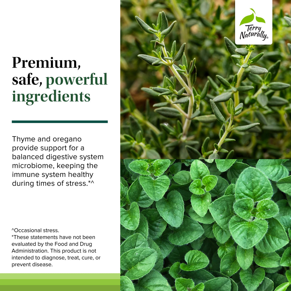 Terry Naturally Bacteril Extra Strength digestive health scene emphasizing balance and well-being