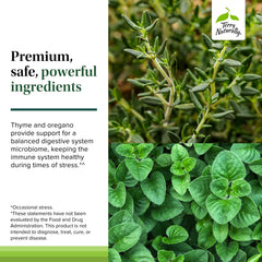 Terry Naturally Bacteril Extra Strength digestive health scene emphasizing balance and well-being