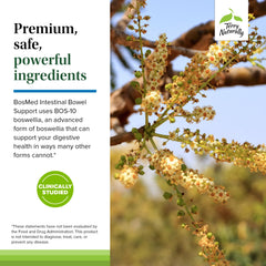 Terry Naturally BosMed box pack featuring 60 softgels and branding