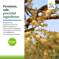 Terry Naturally Boswellia Plus Frankincense Oil concentrated image conveys full-spectrum benefits
