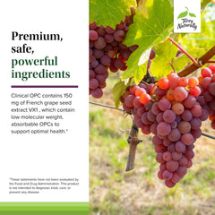 Grape seed extract imagery signals potent antioxidants and broad cell-supporting potential.