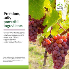 Terry Naturally OPC Heart magnesium tablet indicating mineral support
