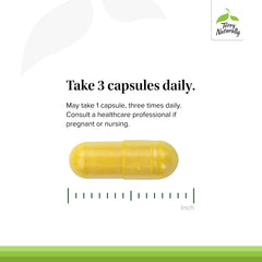 Terry Naturally Curamin packaging display with 120 capsules for consistent use.