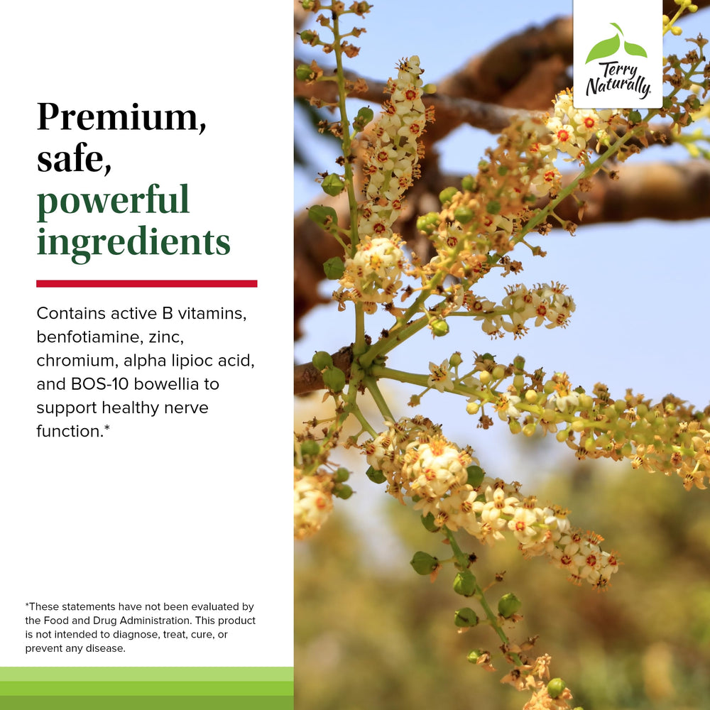 Graphic of 120-count vegan capsules indicating long-lasting daily nerve support.