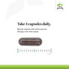 Terry Naturally HRG80 red ginseng dosage panel showing daily options.