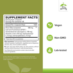Terry Naturally olive leaf capsules arranged for brain health routine