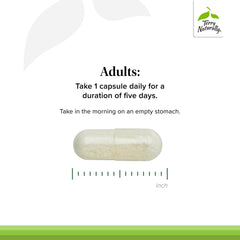 PleuraMax with vitamin C tablet foreground highlighting added antioxidant support.