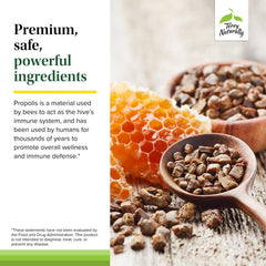 Terry Naturally Propolis EP300 2-pack packaging illustration.
