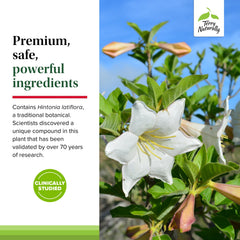 Terry Naturally Sucontral D packaging demonstrates convenient twice-daily use