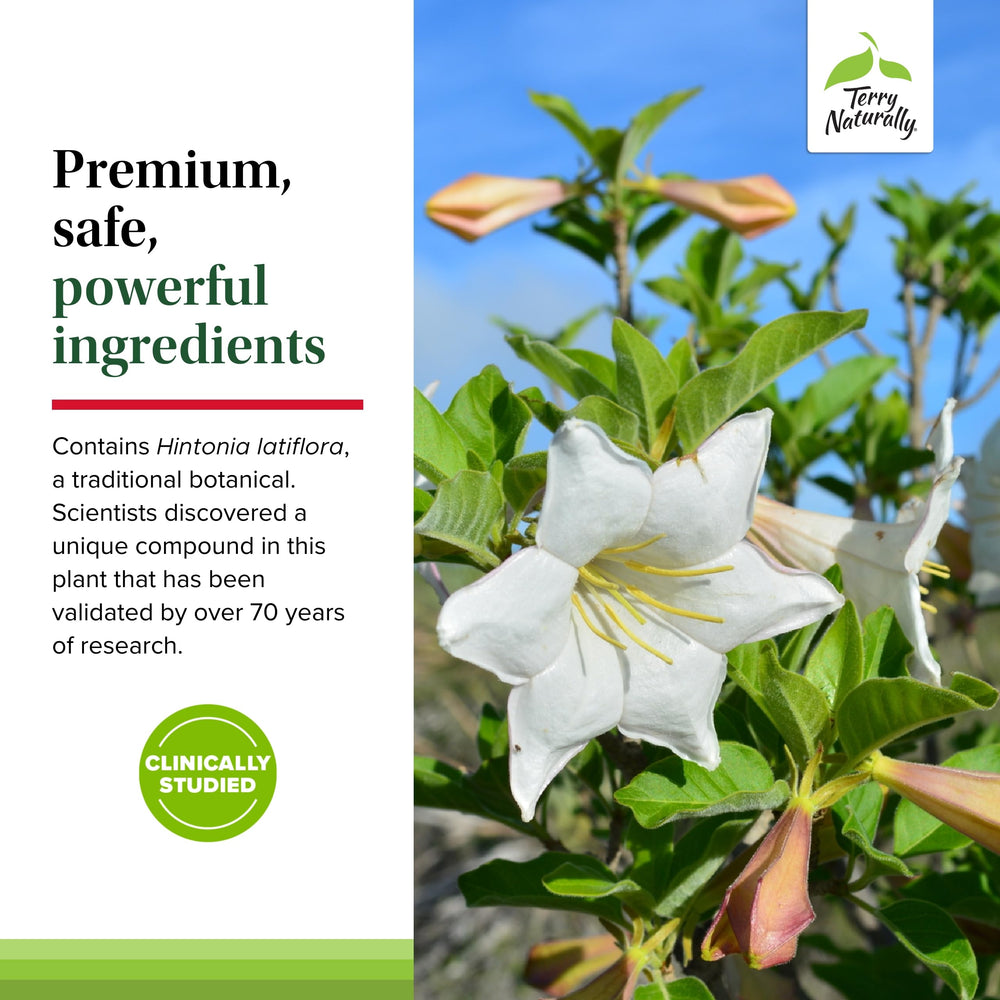 Vegan capsules from Terry Naturally Sucontral D for allergen-friendly use