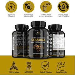 THE ENCLARE NUTRITION Muira Puama capsules promote long-lasting energy