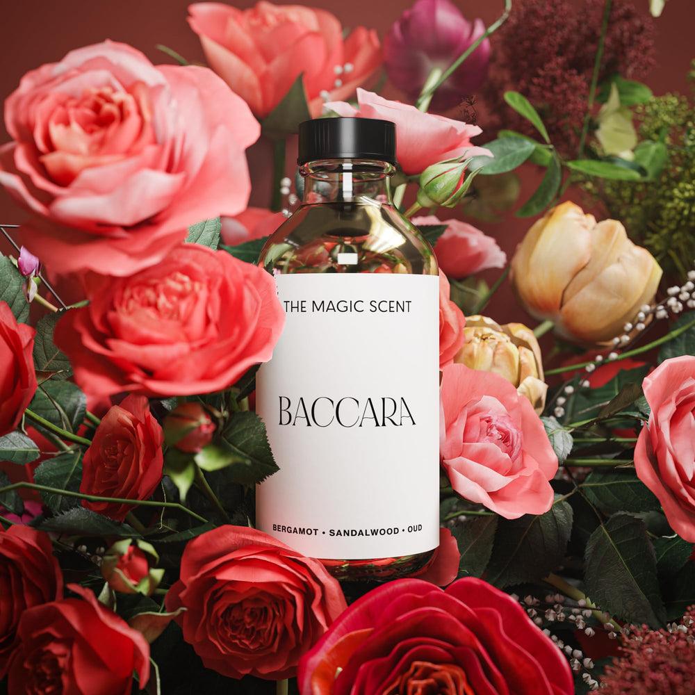 The Magic Scent Baccara diffuser oil luxury-hotel ambiance for home.
