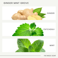 The Magic Scent Ginger Mint Grove luxury scent enhances spa-like ambience