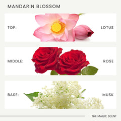 The Magic Scent Mandarin Blossom room ambience suggesting spa-like mood