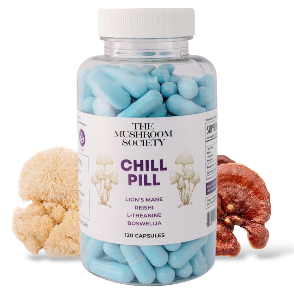 Chill Pill bottle front of The Mushroom Society illustrates vegan capsules for calm and balance
