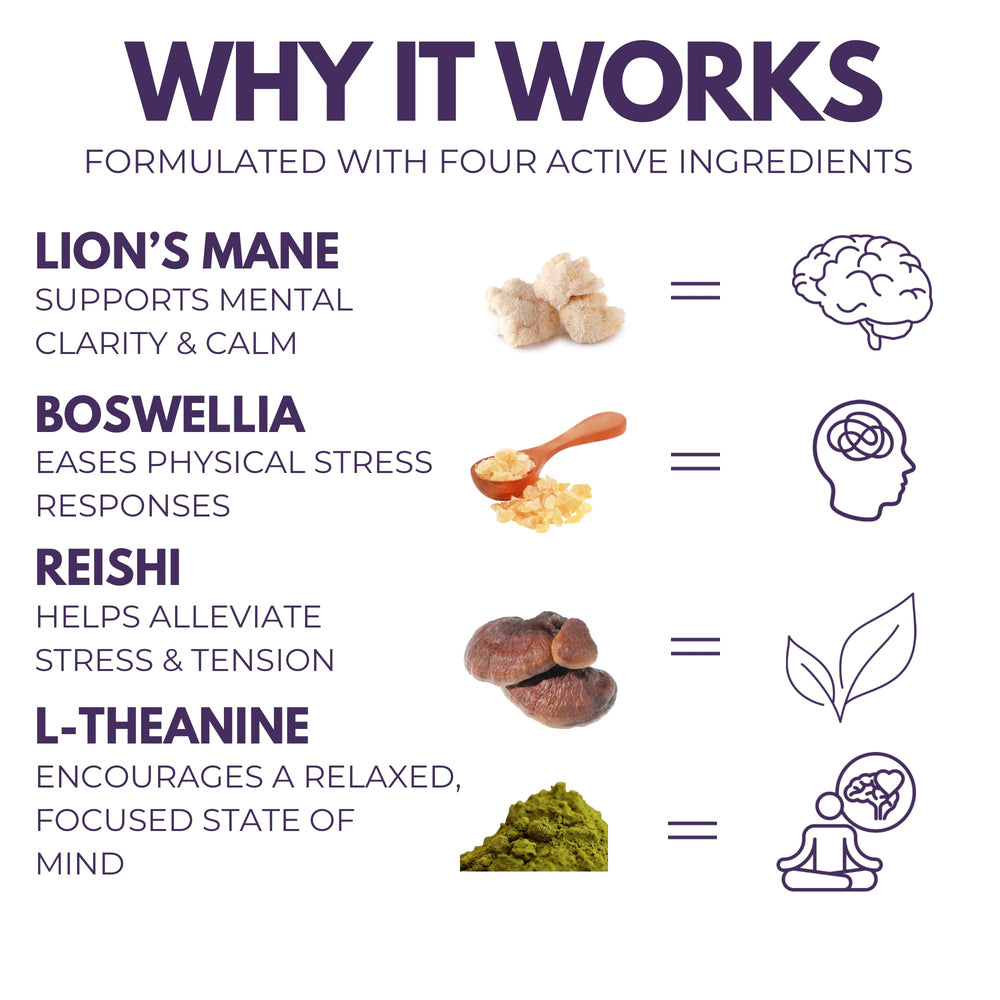 Chill Pill label close-up revealing L-Theanine, Lion's Mane, and Boswellia notes
