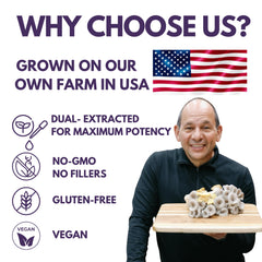 The Mushroom Society Lion's Mane Extra vegan certification icon on packaging.
