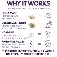 The Mushroom Society oyster mushroom extract bottle showcasing immune-supporting nutrients.