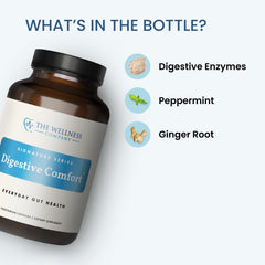 The Wellness Company Digestive Comfort capsule close-up with Ginger Root highlighted for digestion support