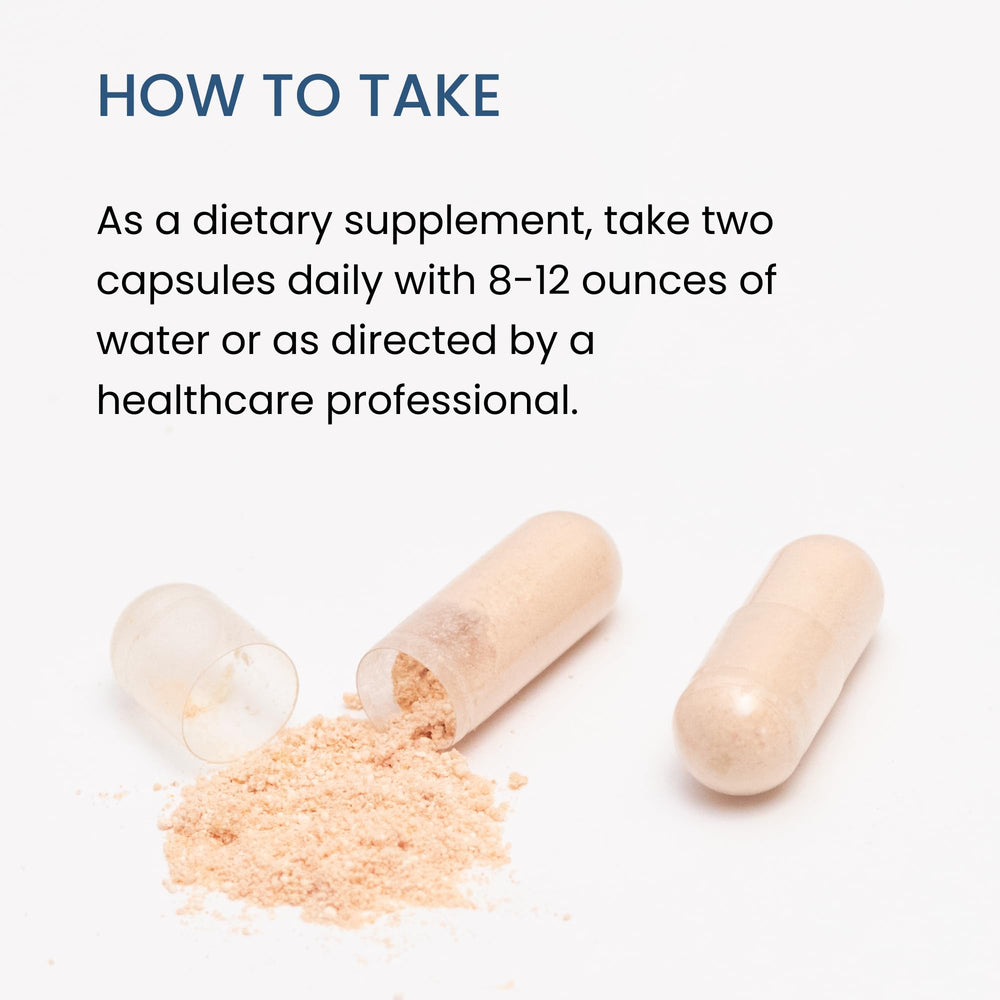 The Wellness Company Elevated Energy capsules in hand for on-the-go vitality support