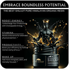 THEGOLD Shilajit Resin origin from high Himalaya altitude