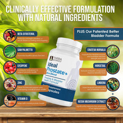 Breakfast scene with Therabotanics Ideal Prostate Plus Ultra capsule routine