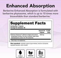 Theralogix Berberine Enhanced Absorption capsules ready for daily gut balance