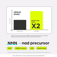 Green tea extract boosts antioxidant power in Thinbi NMN formula.