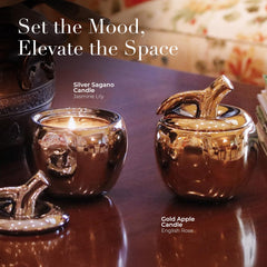 Thompson Ferrier gift-ready apple candle ideal for gifting.