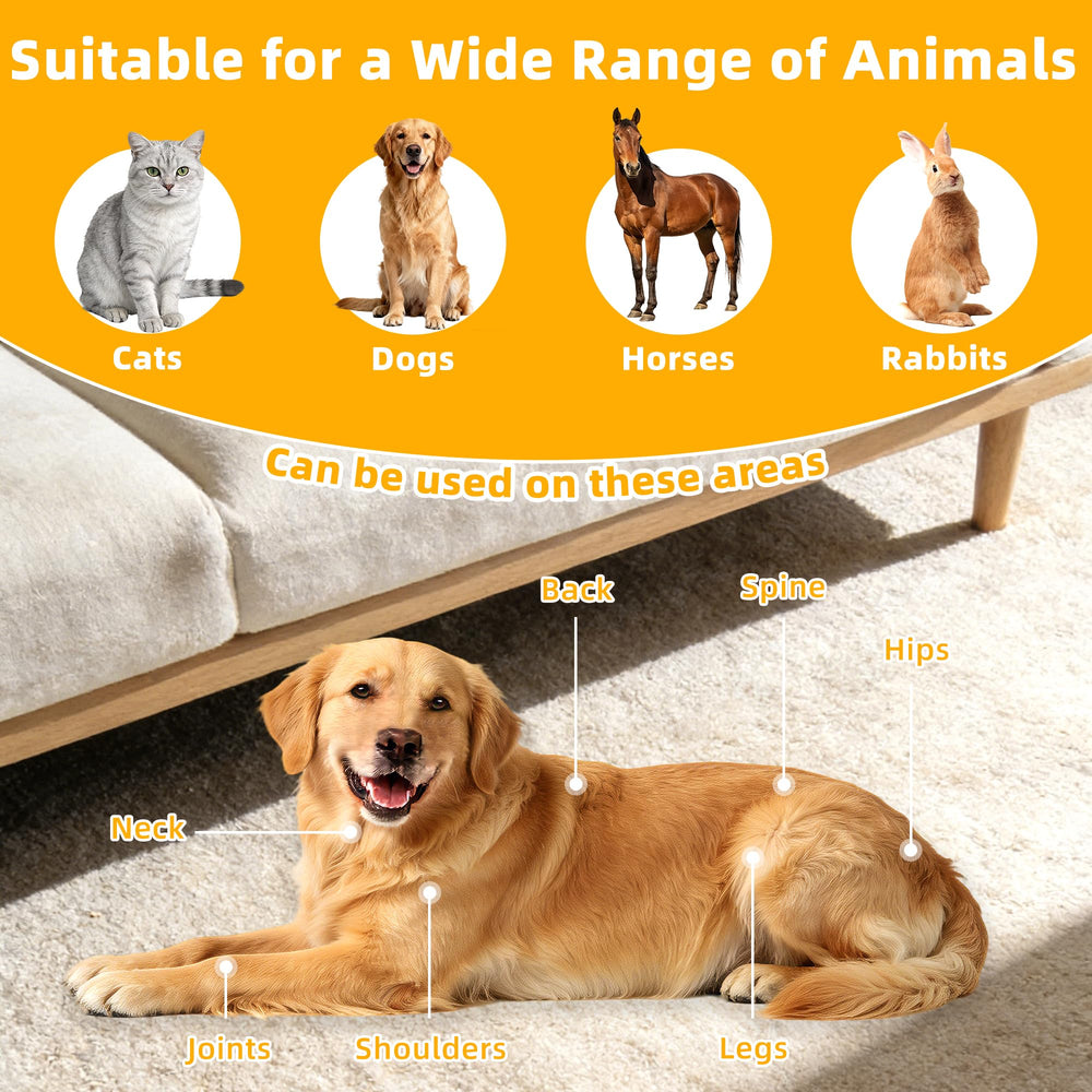 tidytech Pets red light therapy belt on dog demonstrates cordless session for daily recovery.