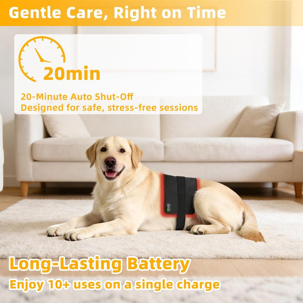 tidytech Pets red light therapy belt one-button control enables simple sessions.