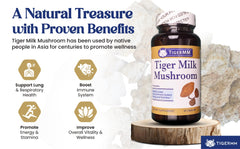 TigerMM Tiger Milk Mushroom capsules close-up showing veggie capsules for daily use.