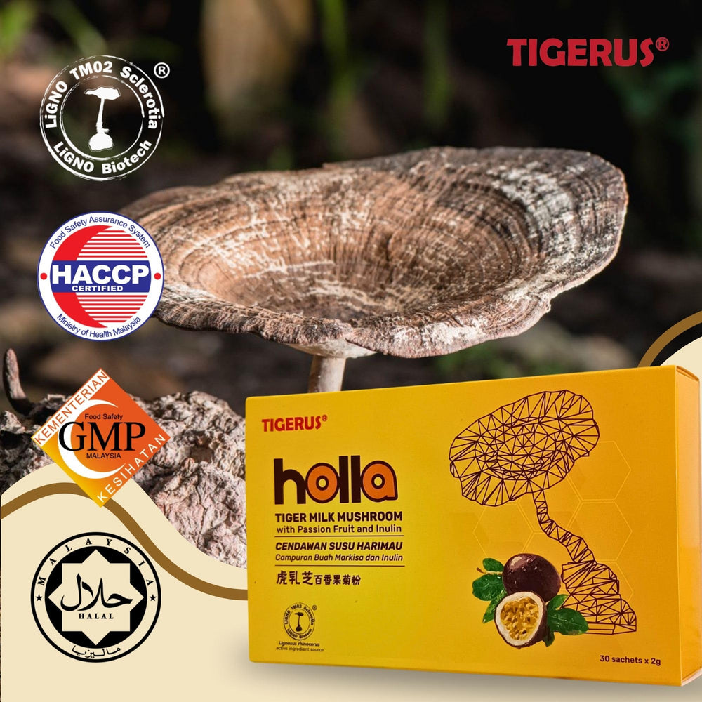 Ingredients panel on Tigerus Holla Tiger Milk Mushroom packaging.