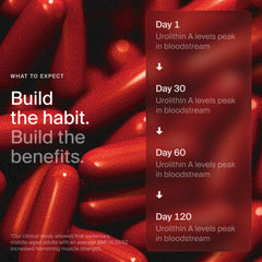 Timeline Mitopure softgels capsules in hand for daily energy and recovery.
