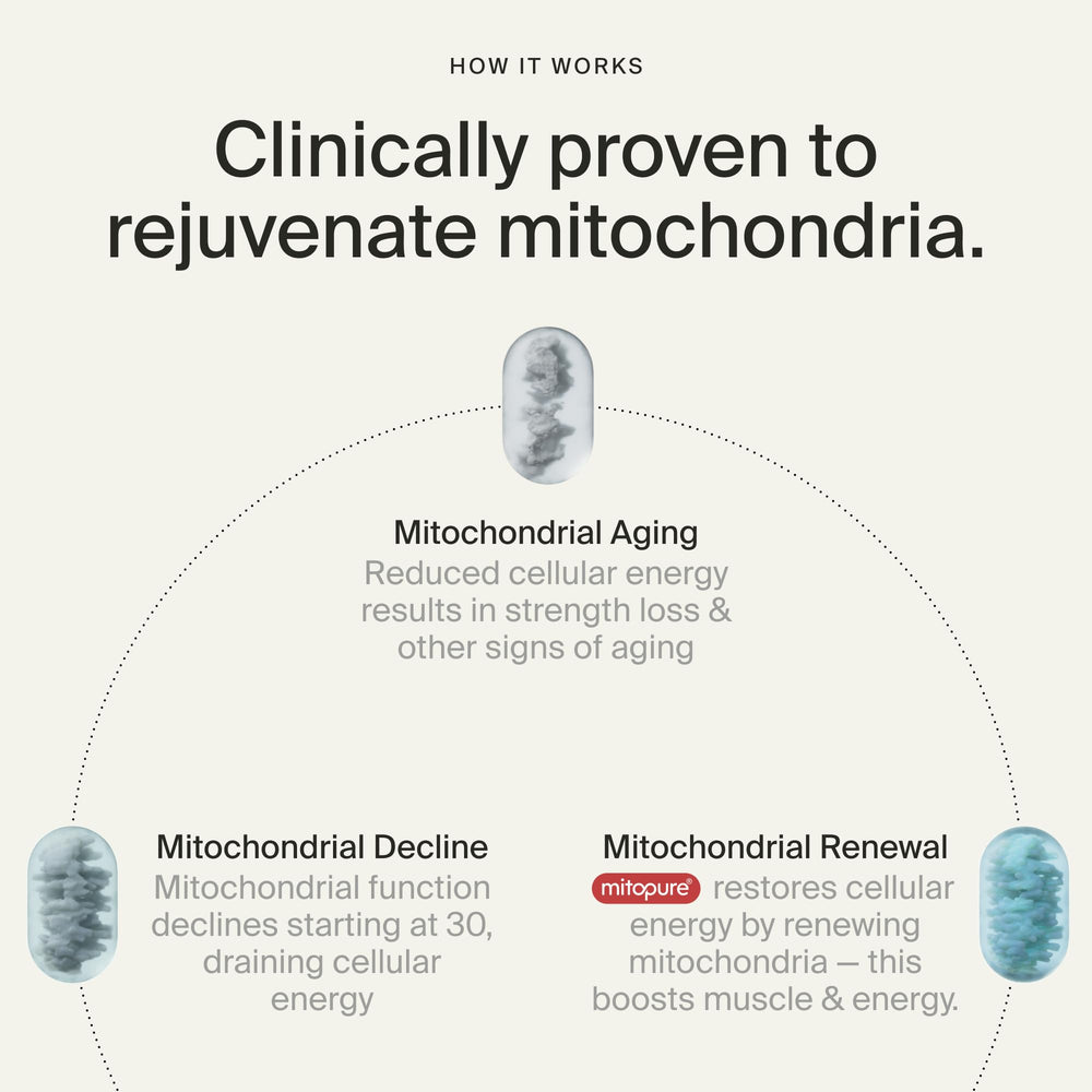 Timeline Mitopure softgels packshots highlighting purity and daily wellness.