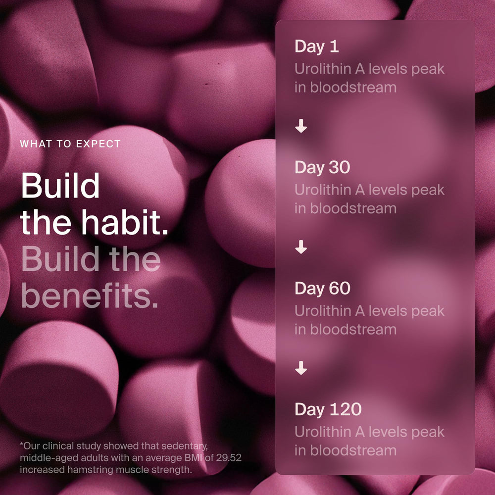 Timeline Mitopure Urolithin A Gummies bottle on shelf for convenient daily use.